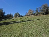 Obersberg (225 Bildaufrufe)