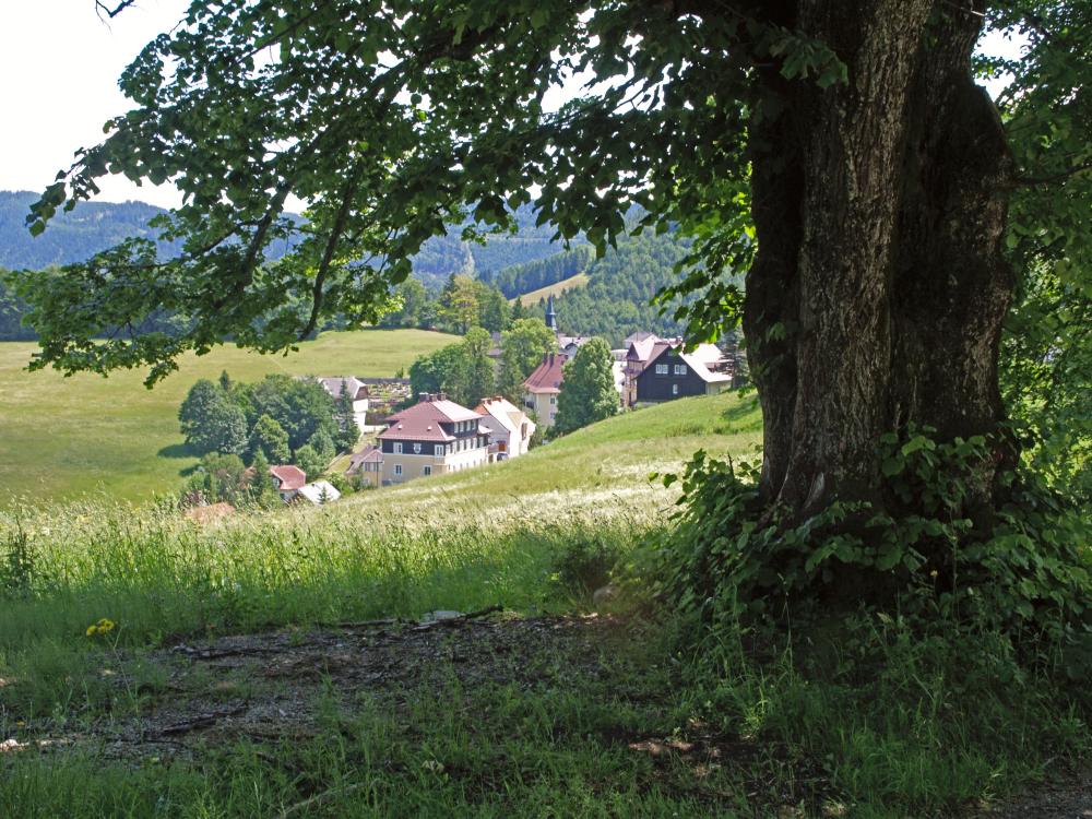 Muckenhöhe, Florkogel, Mäuerlberg, Stetenriegl (343 Bildaufrufe)