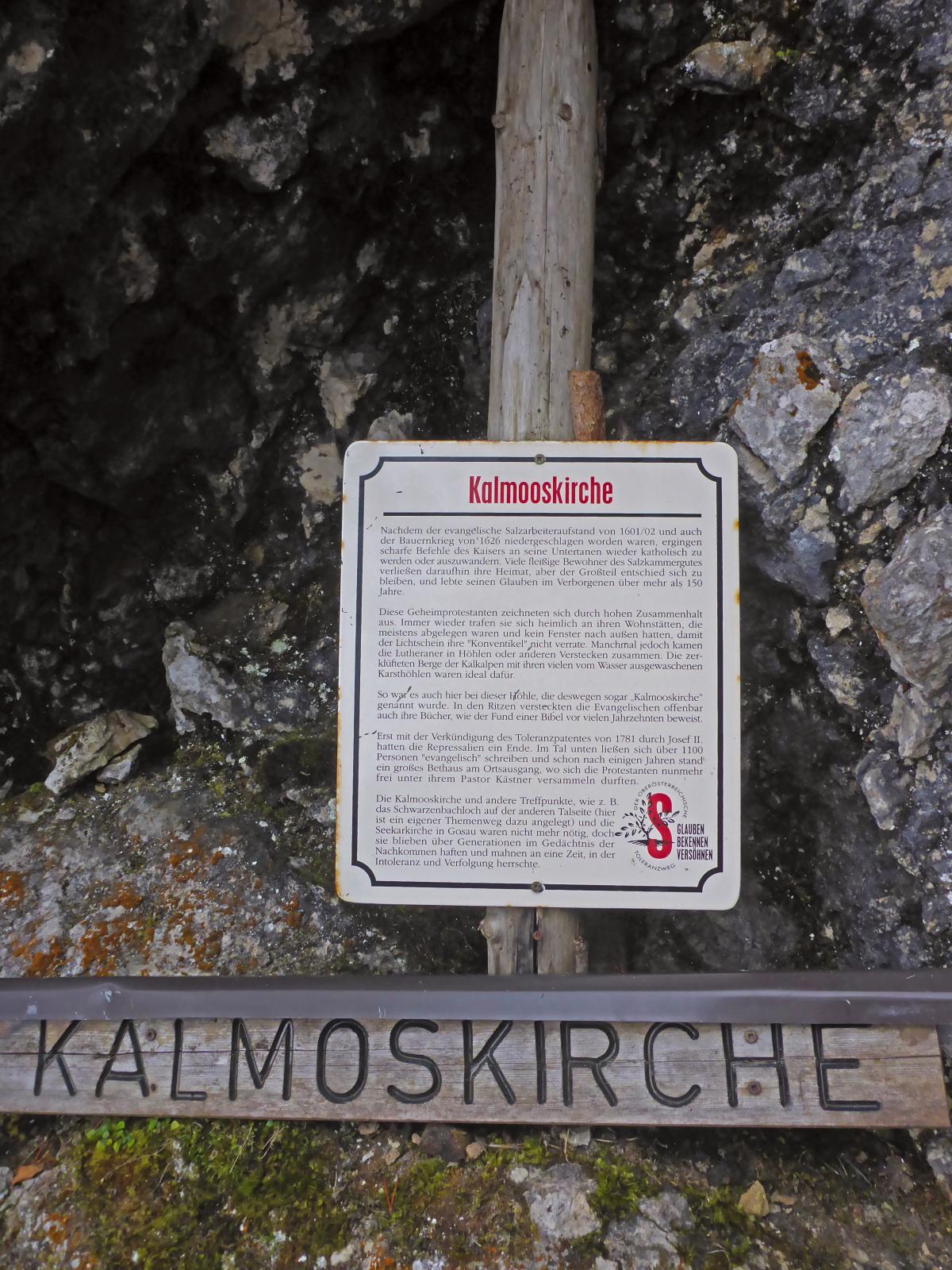 Hoch-Kalmberg, Gamsfeld (236 Bildaufrufe)
