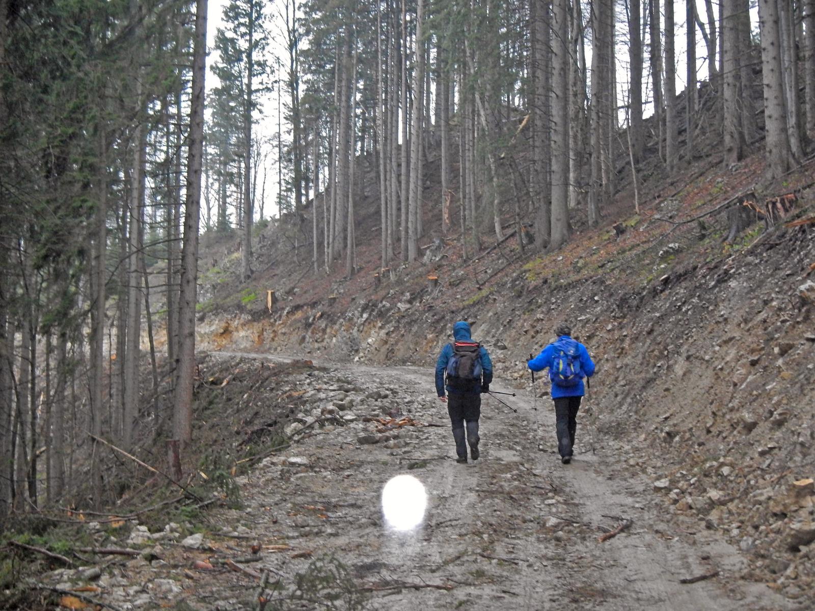 Türnitzer Höger, Tirolerkogel (225 Bildaufrufe)