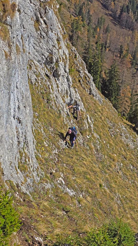 Buchbergkogel (41 Bildaufrufe)