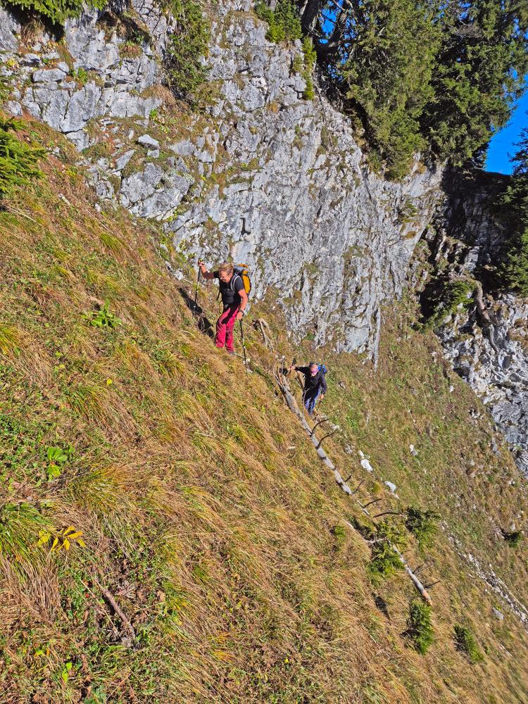 Buchbergkogel (38 Bildaufrufe)