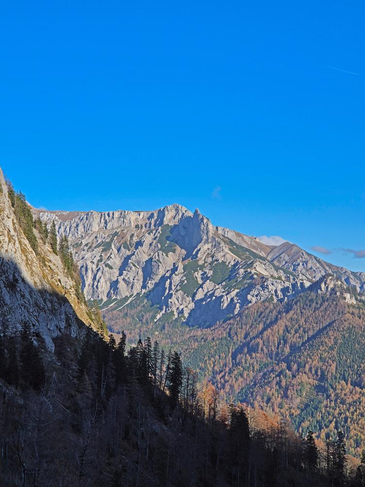 Buchbergkogel (38 Bildaufrufe)