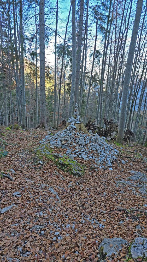 Buchbergkogel (36 Bildaufrufe)