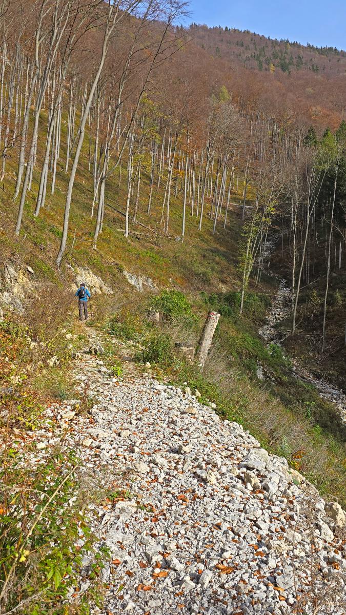 Hohenstein (22 Bildaufrufe)