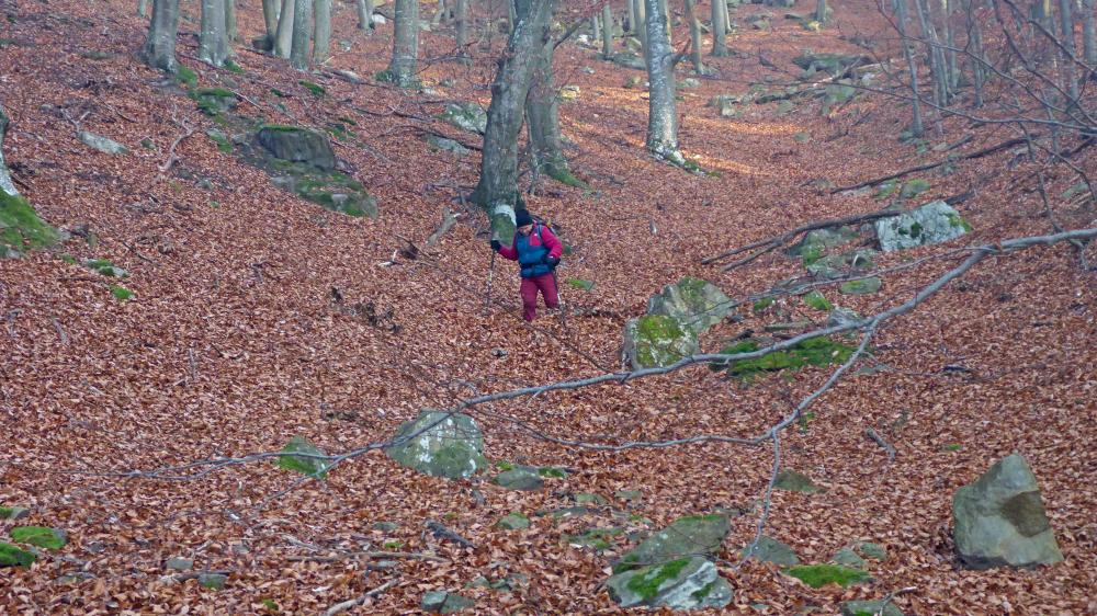 Felberleiten (4 Bildaufrufe)