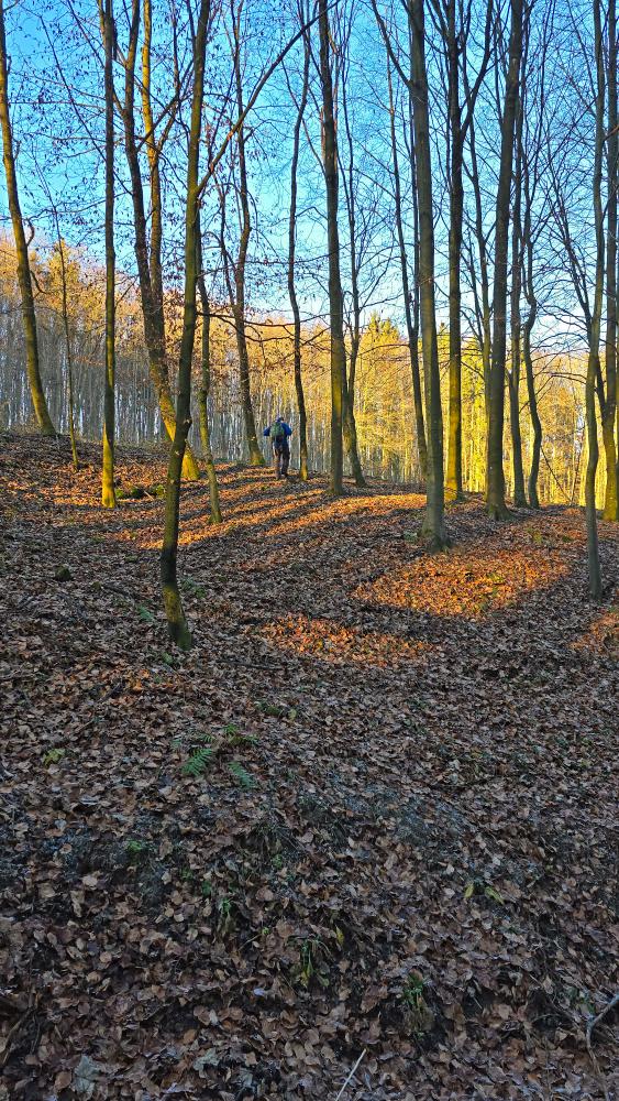 Am Giritzer, Kalkberg (28 Bildaufrufe)