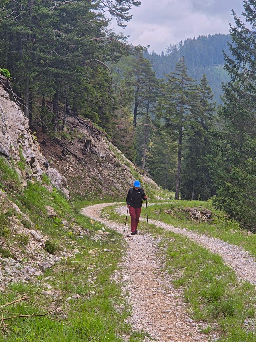 Mittagsnock (47 Bildaufrufe)