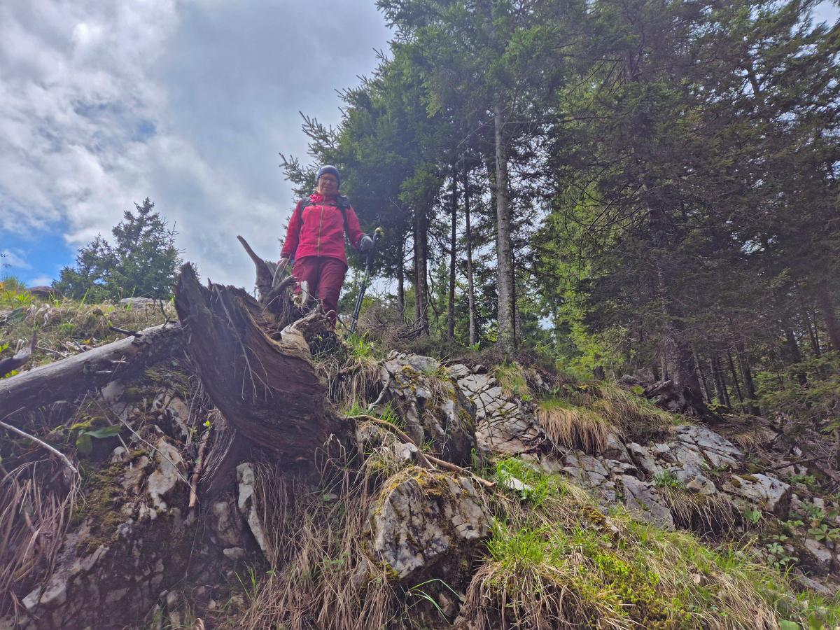 Mittagsnock (38 Bildaufrufe)