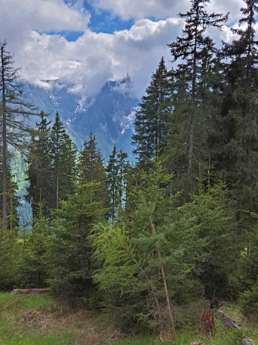 Mittagsnock (43 Bildaufrufe)