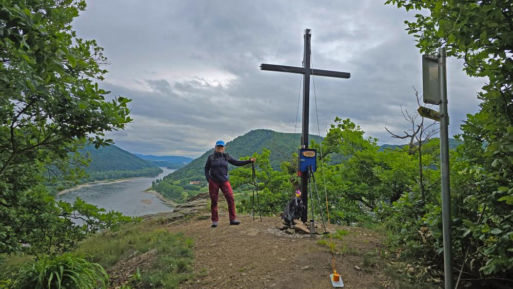 Herrenwald (42 Bildaufrufe)