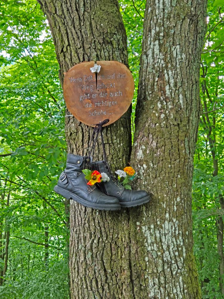 Herrenwald (28 Bildaufrufe)