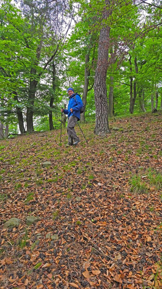 Herrenwald (26 Bildaufrufe)