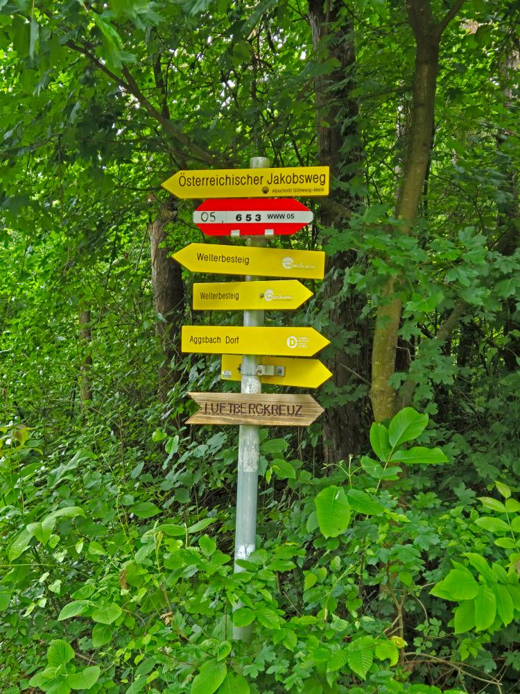 Herrenwald (36 Bildaufrufe)