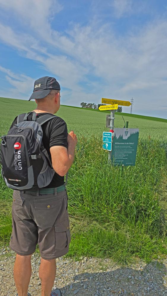 Im Hochholz (35 Bildaufrufe)