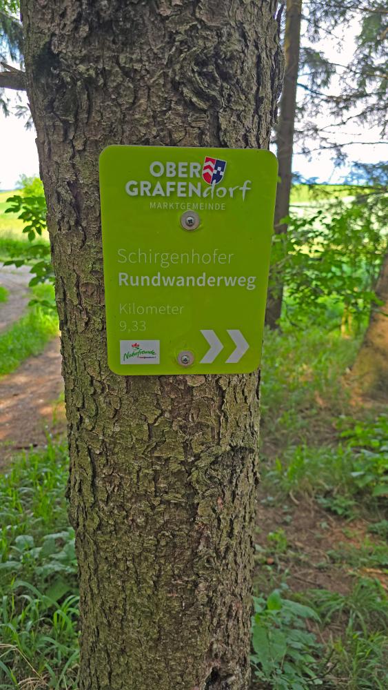 Im Hochholz (34 Bildaufrufe)