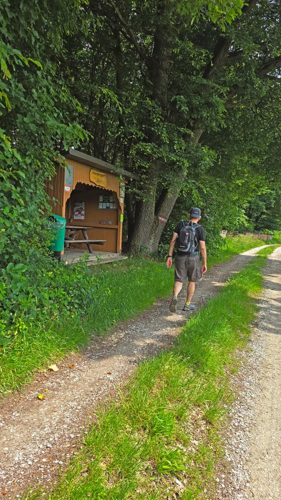 Im Hochholz (32 Bildaufrufe)