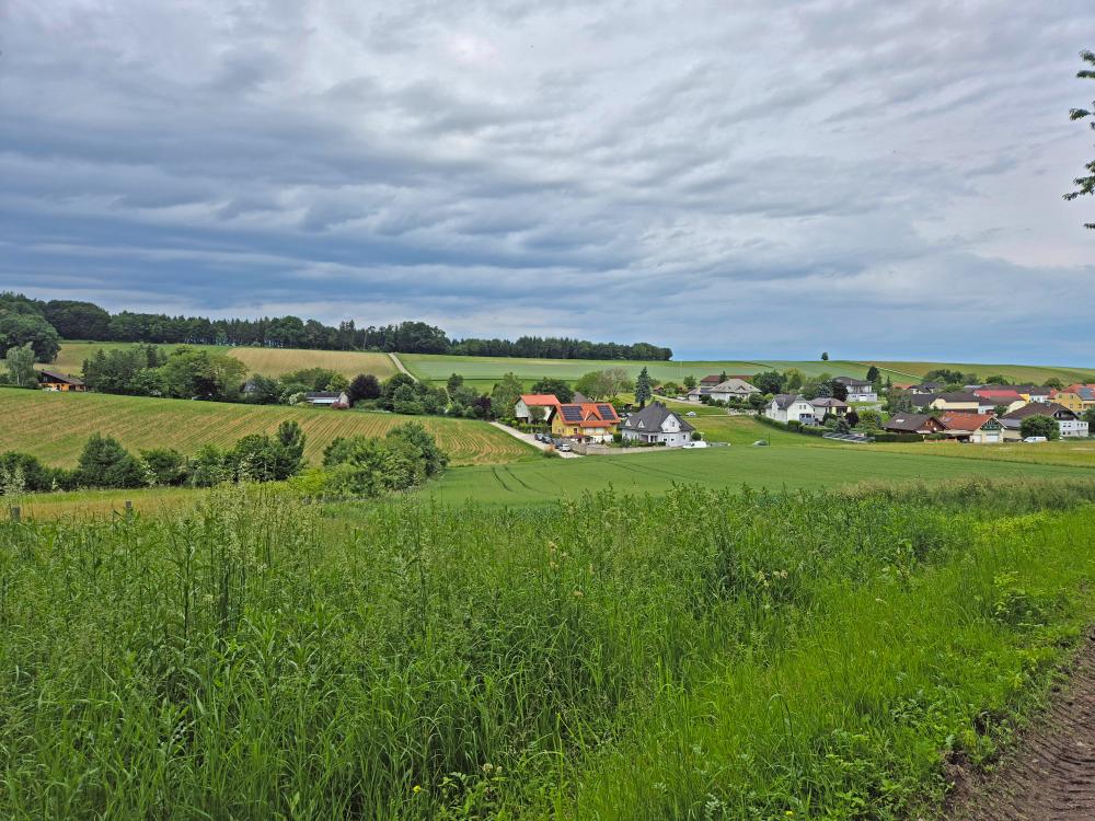 Im Hochholz (36 Bildaufrufe)