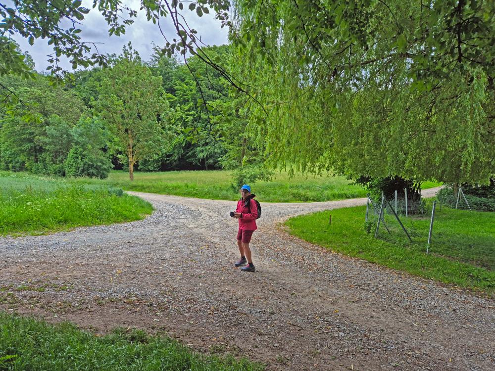 Im Hochholz (33 Bildaufrufe)