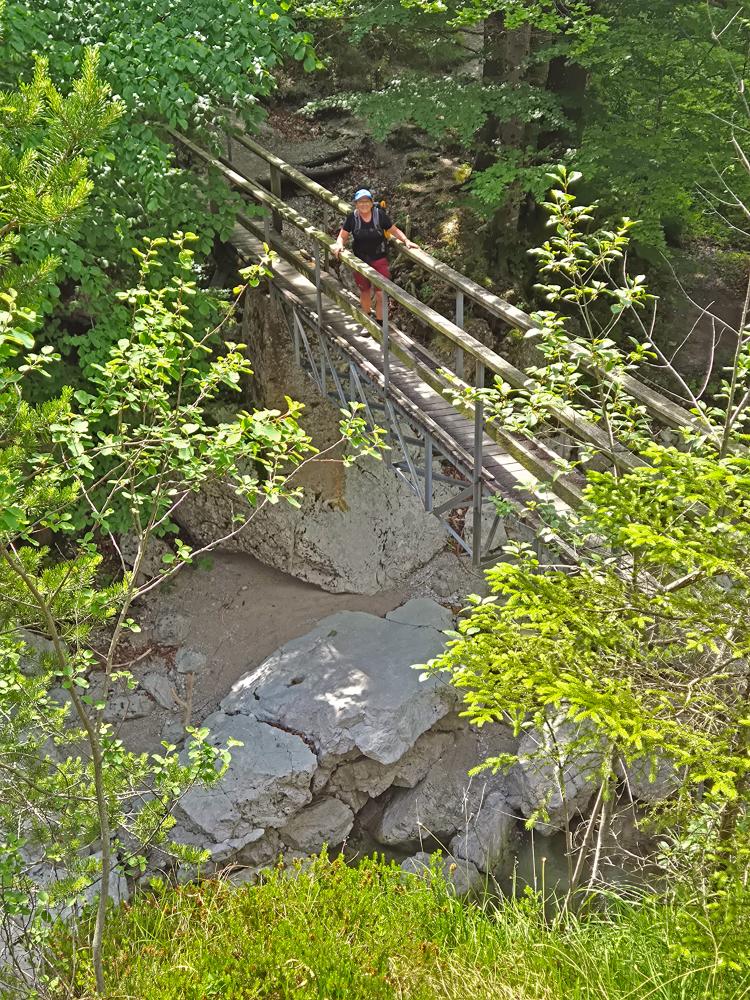 Hintere Tormäuer (27 Bildaufrufe)