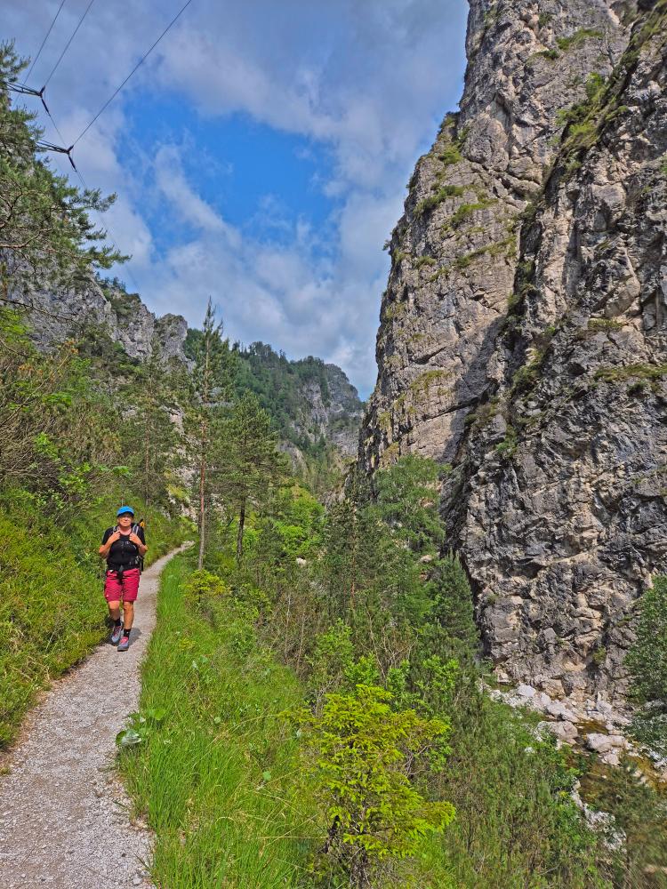 Hintere Tormäuer (38 Bildaufrufe)