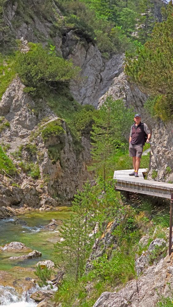 Hintere Torm&auml;uer (36 Bildaufrufe)