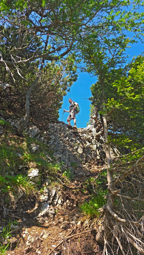 Schneeberg (30 Bildaufrufe)