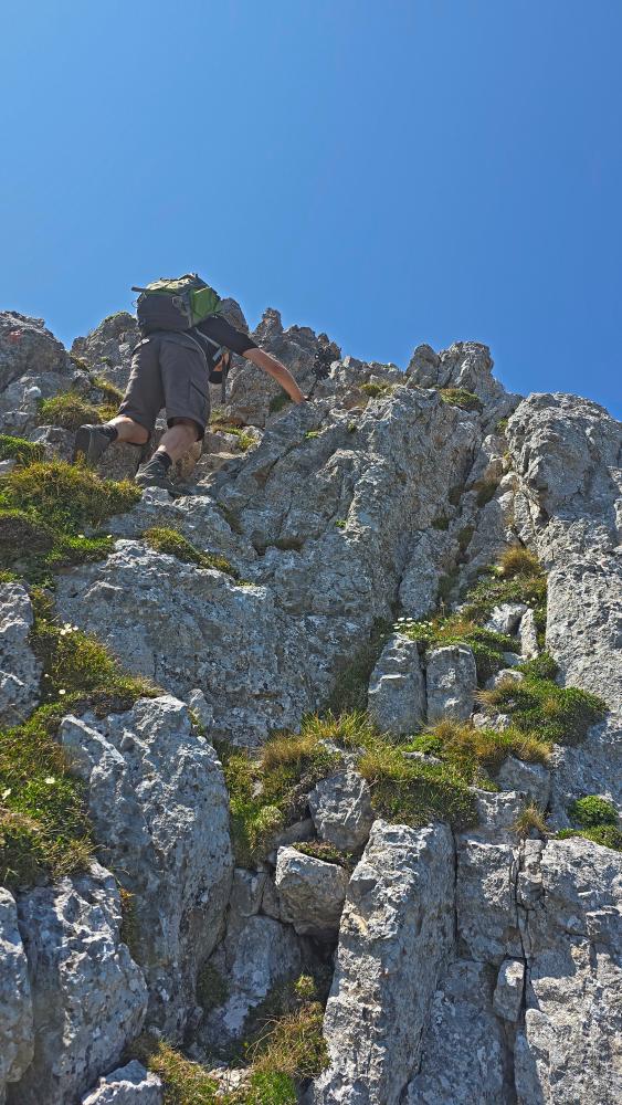 Schneeberg (53 Bildaufrufe)
