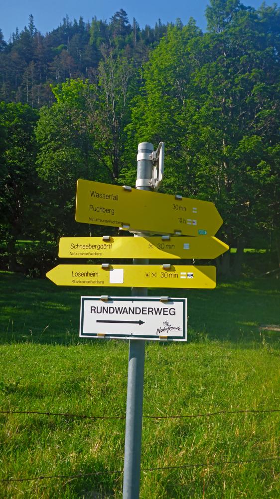 Schneeberg (30 Bildaufrufe)
