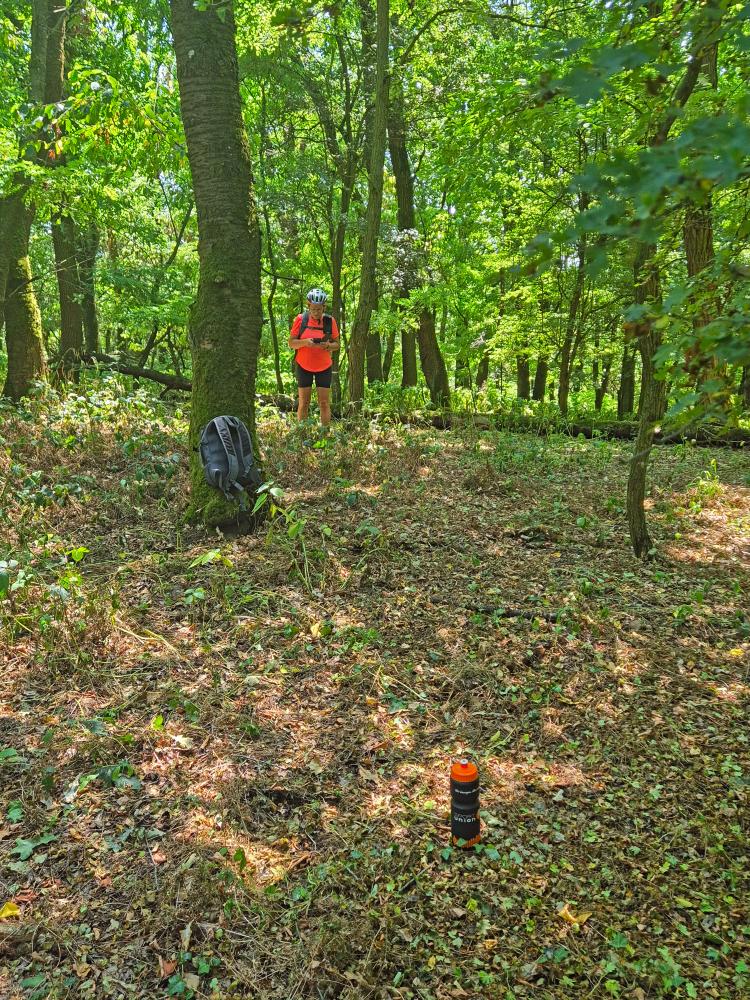 Kalbling (35 Bildaufrufe)