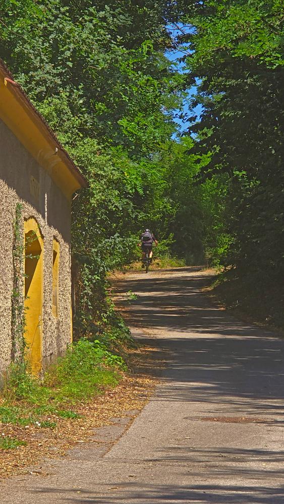 Kalbling (38 Bildaufrufe)