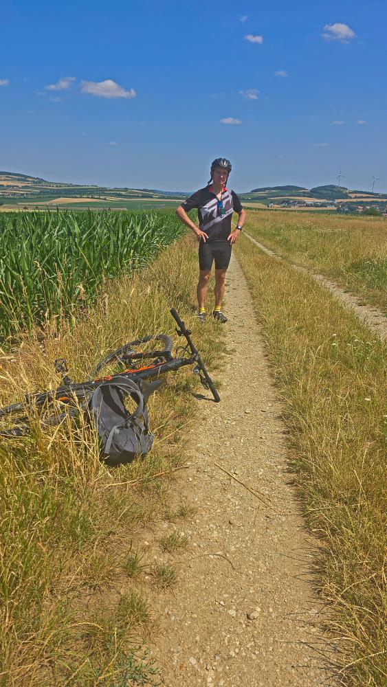 Kalbling (39 Bildaufrufe)