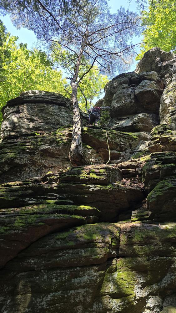 Prinz-Schönburg-Felsen (56 Bildaufrufe)