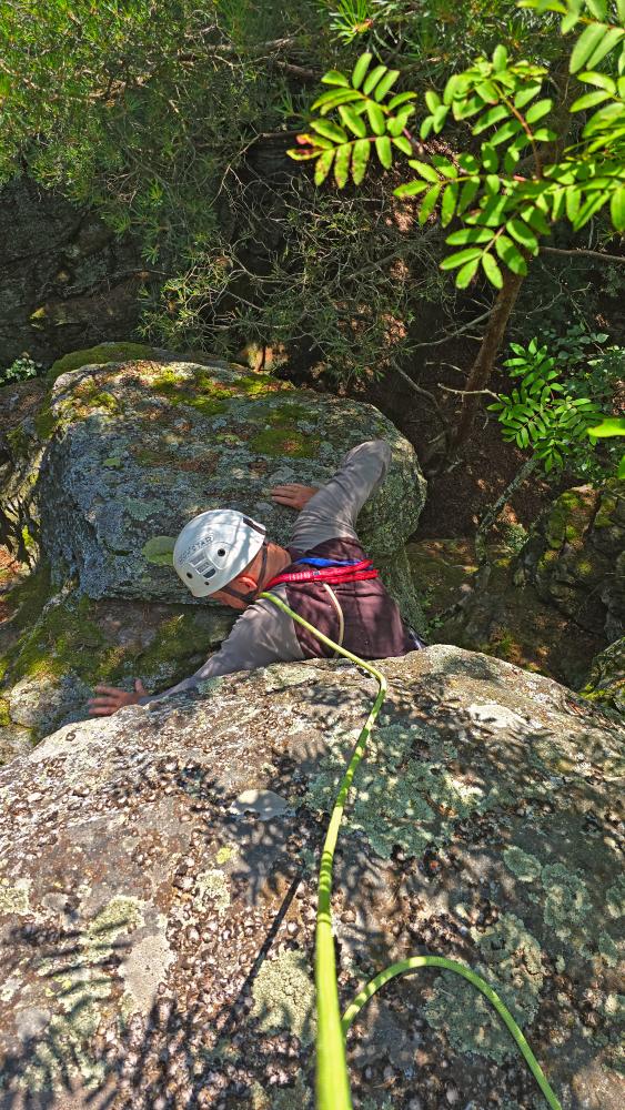 Prinz-Schönburg-Felsen (59 Bildaufrufe)