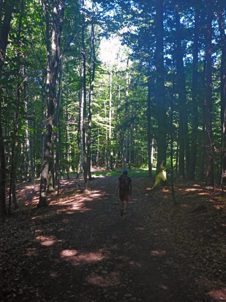 Eichberg (31 Bildaufrufe)