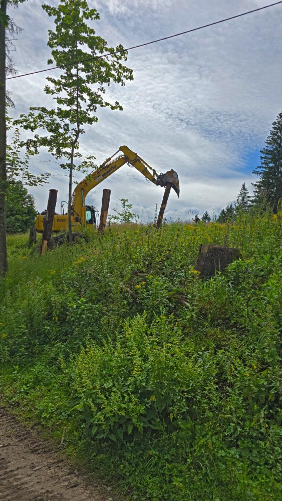 Hohenas (40 Bildaufrufe)