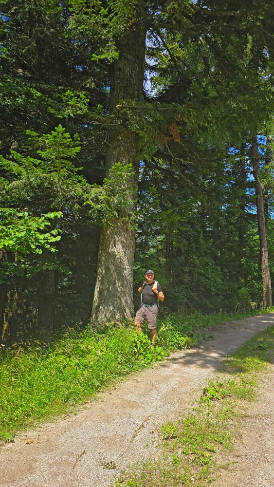 Hohenas (38 Bildaufrufe)