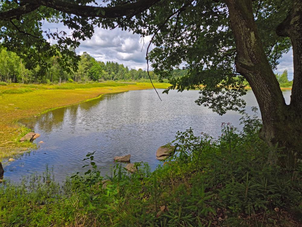 Eulenberg (21 Bildaufrufe)