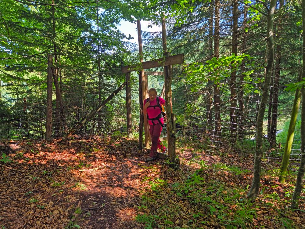 Hohenstein (44 Bildaufrufe)