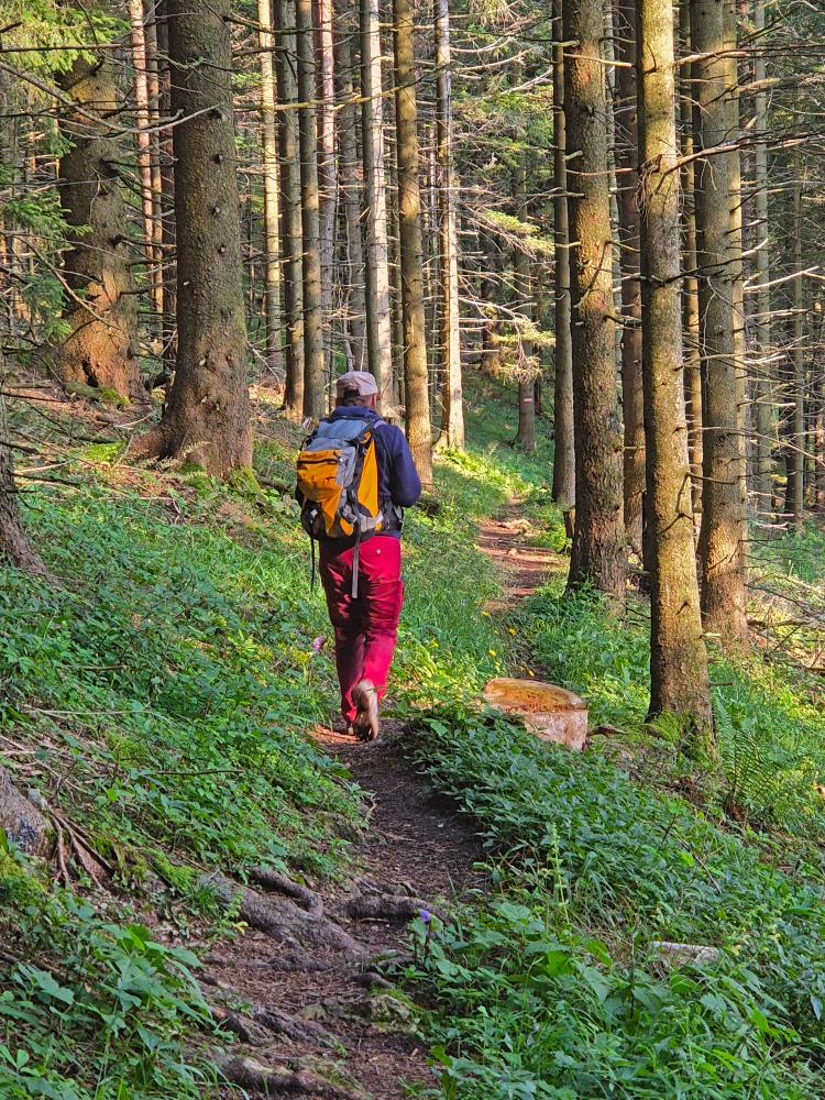 Hohenstein (41 Bildaufrufe)