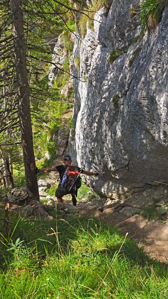 Sparber (46 Bildaufrufe)