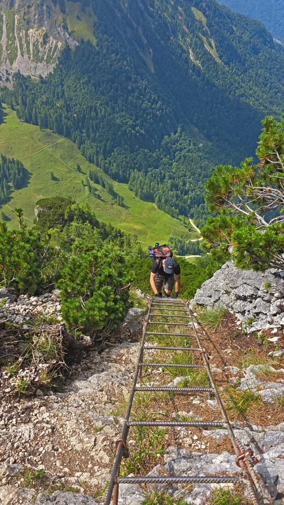 Sparber (47 Bildaufrufe)