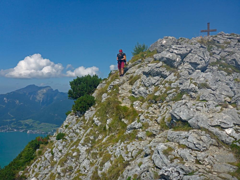 Sparber (48 Bildaufrufe)