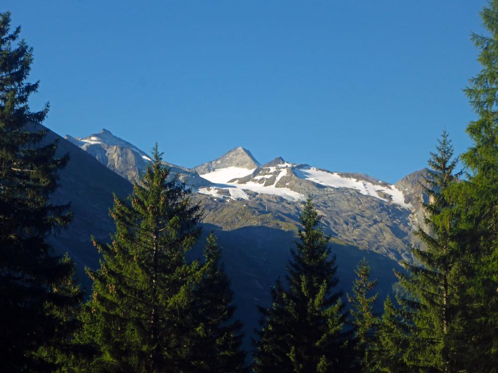 Lizumer Reckner (42 Bildaufrufe)