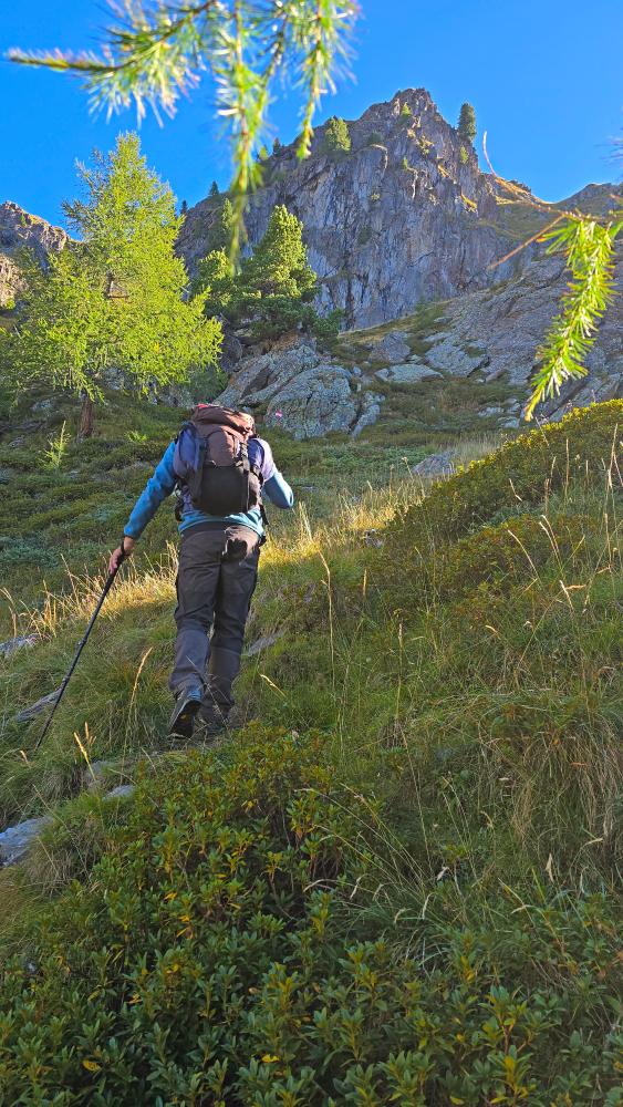 Weiße Spitze (54 Bildaufrufe)