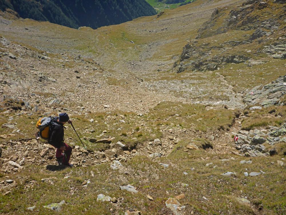 Weiße Spitze (52 Bildaufrufe)