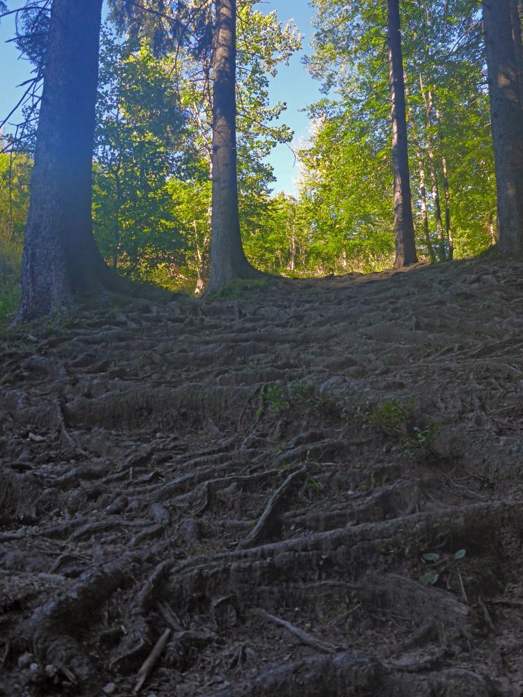 Almkogel (47 Bildaufrufe)