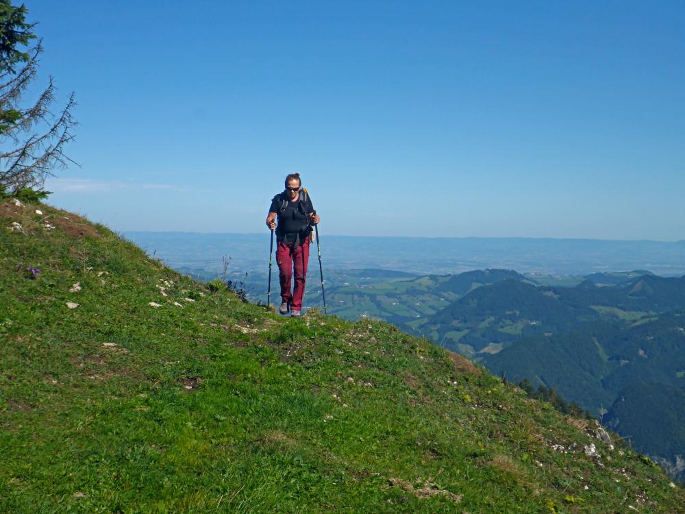 Almkogel (34 Bildaufrufe)