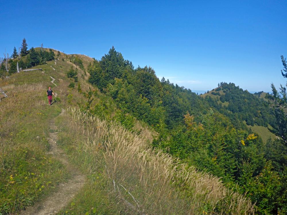 Almkogel (45 Bildaufrufe)