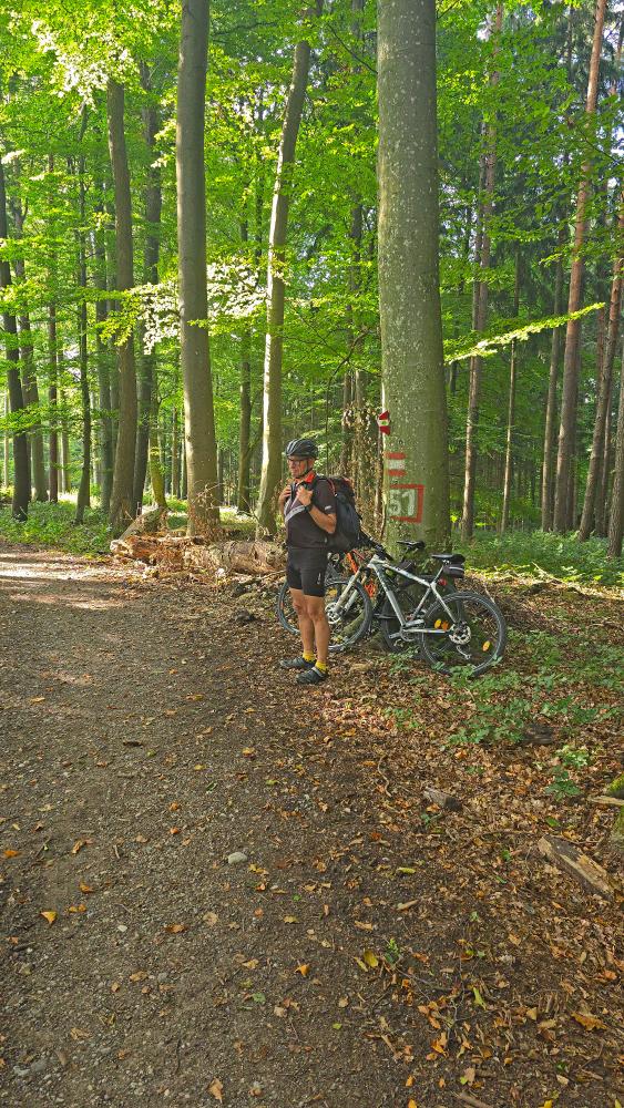 Edlitzberg (22 Bildaufrufe)